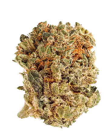 Buy Feminized Pre-98 Bubba Kush