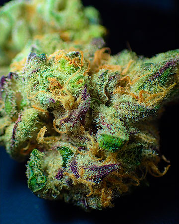 Buy Purple Trainwreck