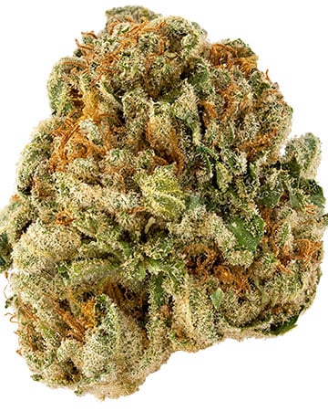 Buy Super Sour Diesel