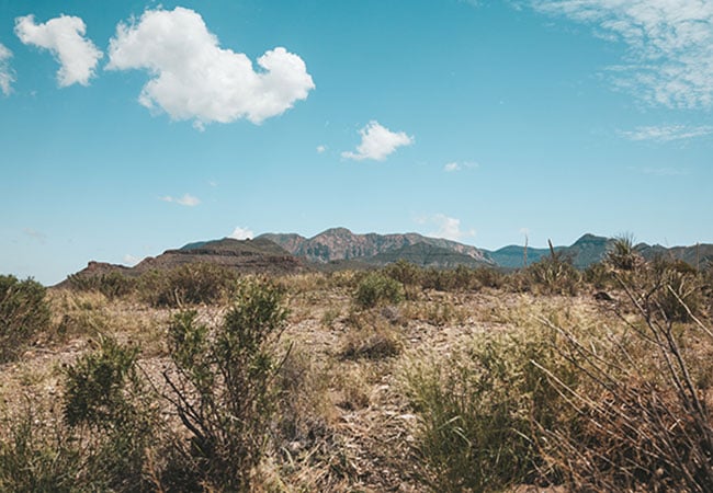 Landscape of grassy fields and clouds
