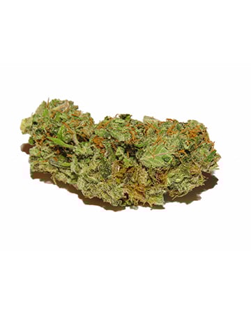 Buy Alien OG