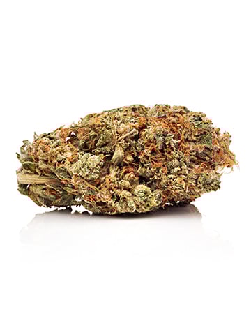 Buy Apple Fritter