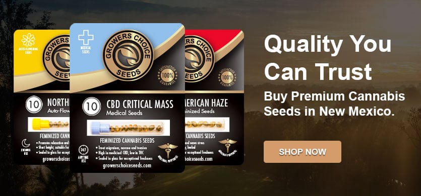 buy the best cannabis seeds in New Mexico
