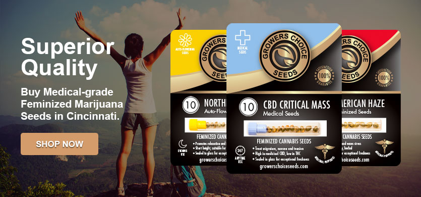 buy cannabis seeds in wyoming