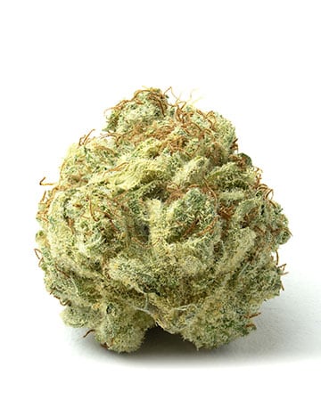 Buy Grape Stomper