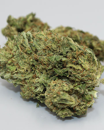Buy Kush Mints