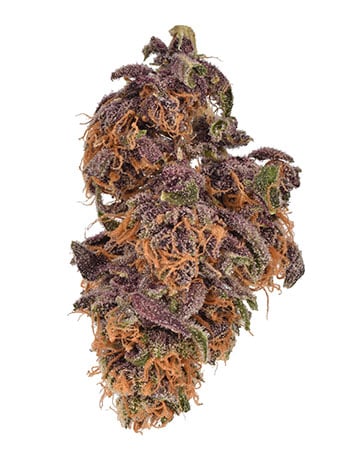 Buy Peanut Butter Breath