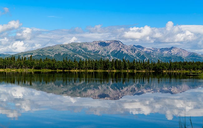 Ocean next to a forest and mountain