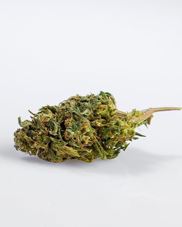 Buy Green Queen Auto