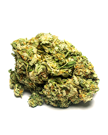 Buy Mimosa Auto