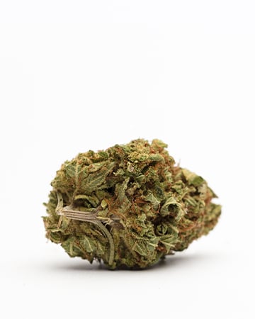 Buy White Runtz Auto