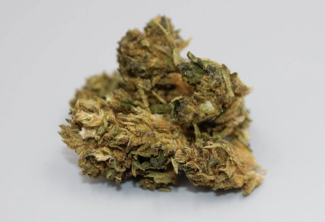 Cannabis nugs against a white background