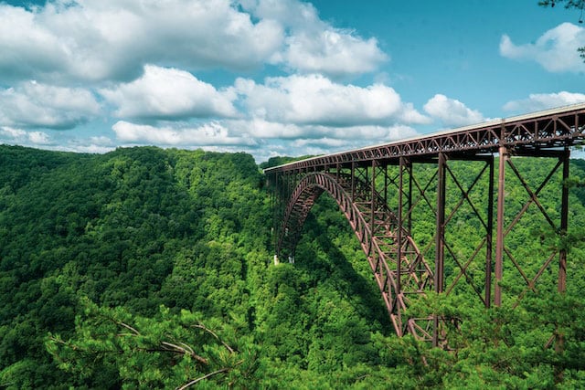 Bridge stretching across a forest
