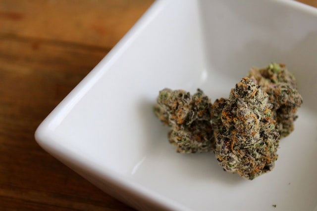 Cannabis nugs on a white dish