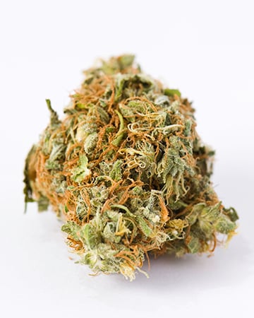 Buy Alaska Thunderfuck Auto