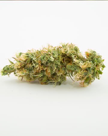 Buy Rainbow Kush Auto