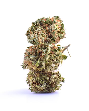 Buy Super Skunk Auto