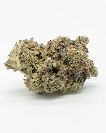 Buy Tropicana Cookies Auto