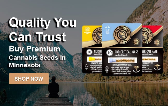Cannabis Seeds Minnesota