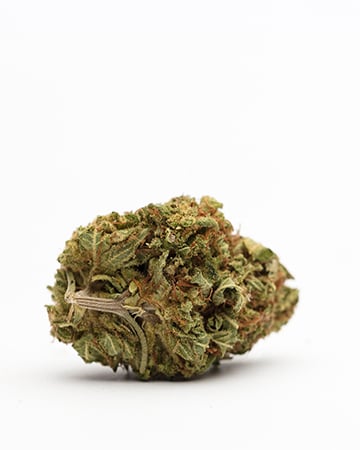Buy Blue Cookies Auto