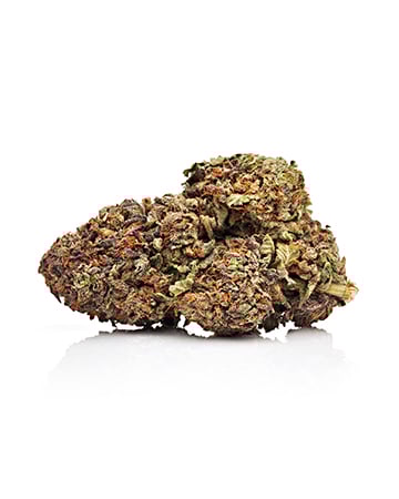 Buy Gorilla Glue #4 Auto