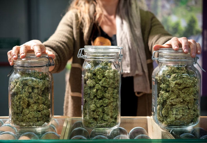 curing cannabis in jars