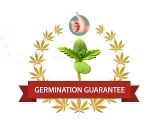 germination-guarantee