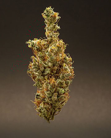 Buy Agent Orange Auto