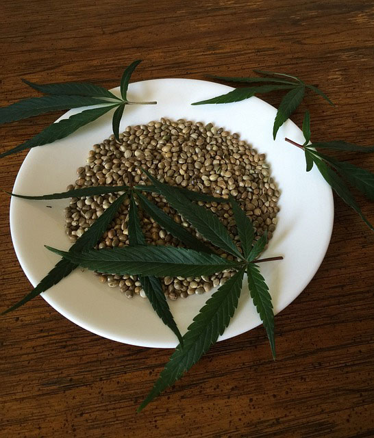 cannabis seed storage
