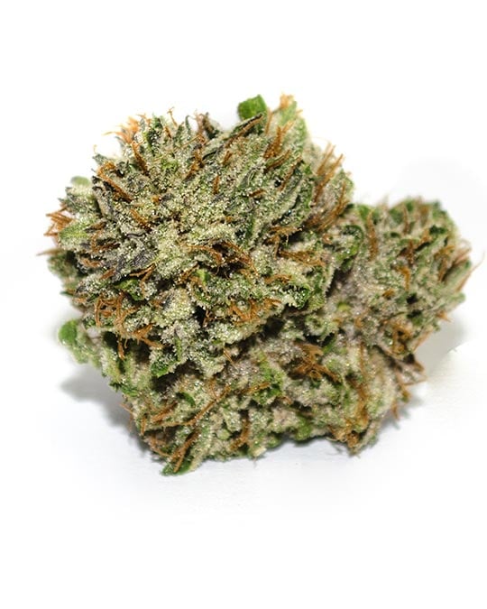 Buy Strawberry Cough Auto