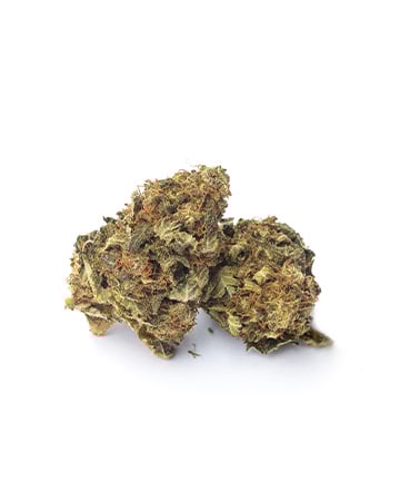 Buy Stardawg Auto
