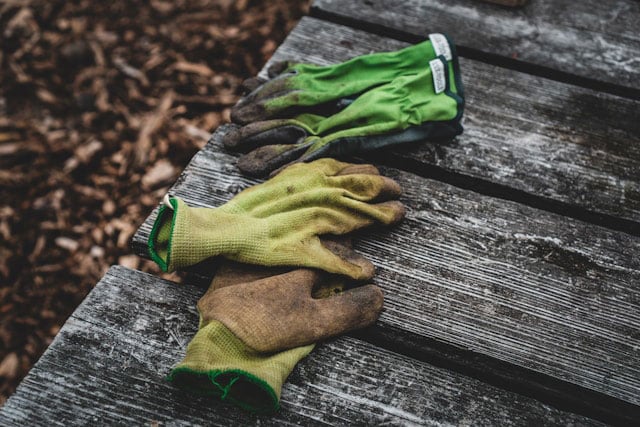 Brown and green gloves on a wooden bench
