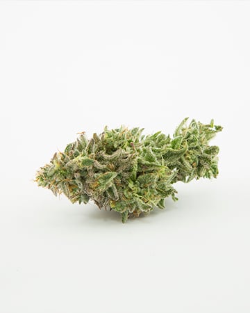 Buy Purple Lemonade Auto