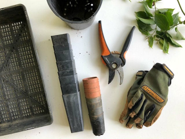 Gardening tools including black pruning shears, gloves, and small pots