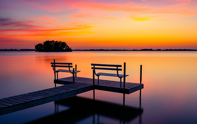 buying cannabis seeds in Wisconsin