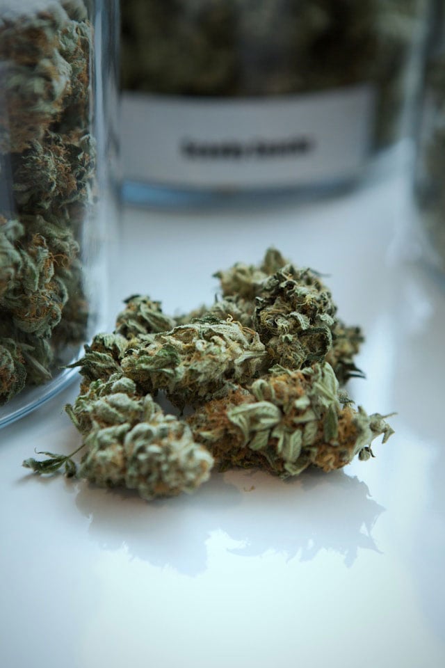 Crisp cannabis nugget with a subtle shadow