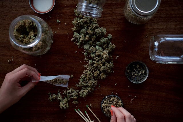 Photo of fresh cannabis buds and storage jars.