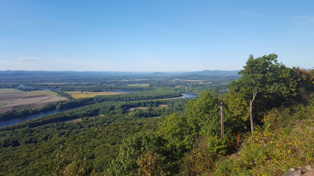 buy cannabis seeds in massachusetts