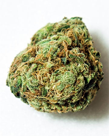 Buy Gorilla Glue