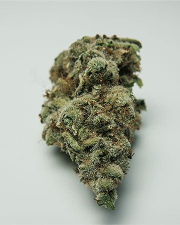 Buy Jealousy Cannabis