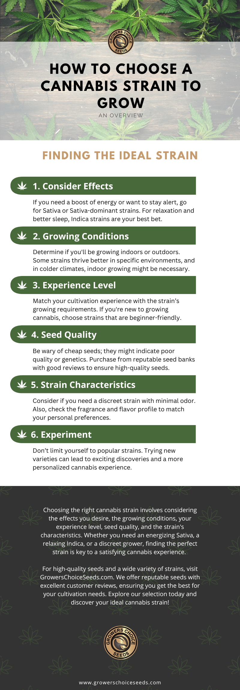 How To Choose A Cannabis Strain To Grow Infographic how to choose a cannabis strain to grow infographic