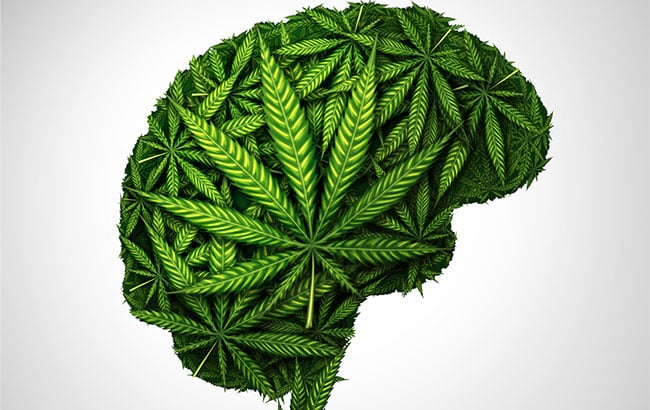 Brain made of weed leaves