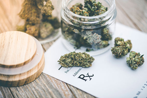A close up of medical cannabis buds for mississippi
