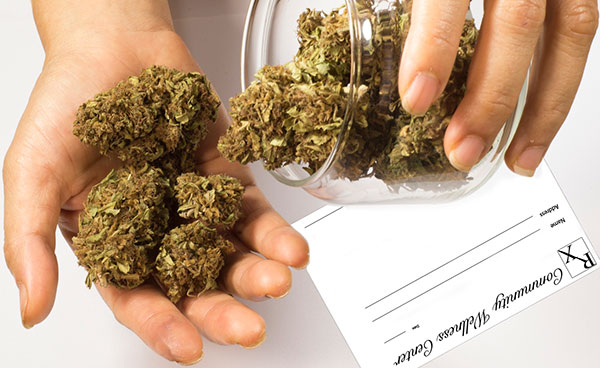 close up of hands holding marijuana buds with prescription