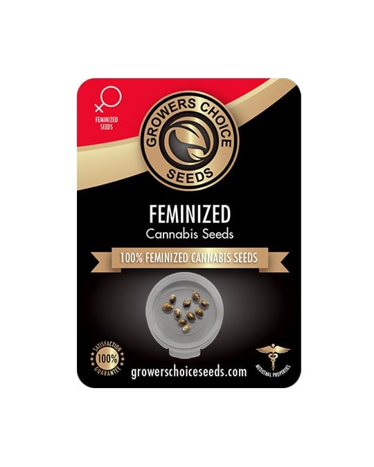 Buy Wizard Punch Feminized Seeds