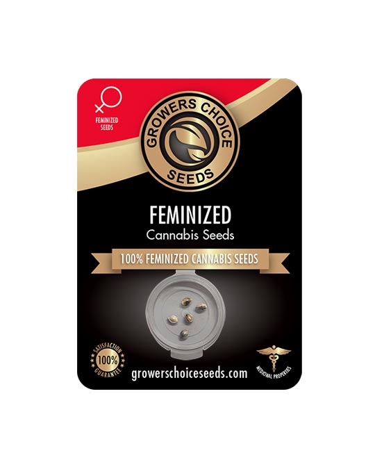 Buy Four Way Feminized Seeds