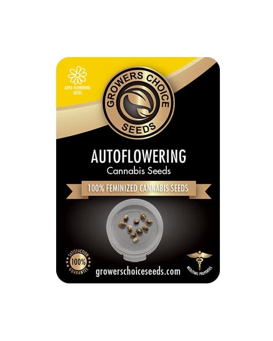 Buy Gelonade Auto