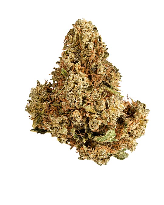 Buy Four Way Feminized Seeds