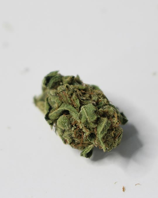 Buy Sweet Tooth Feminized Seeds