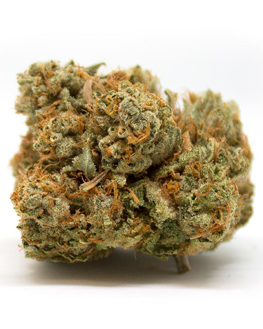 Buy Tropicana Cherry Auto